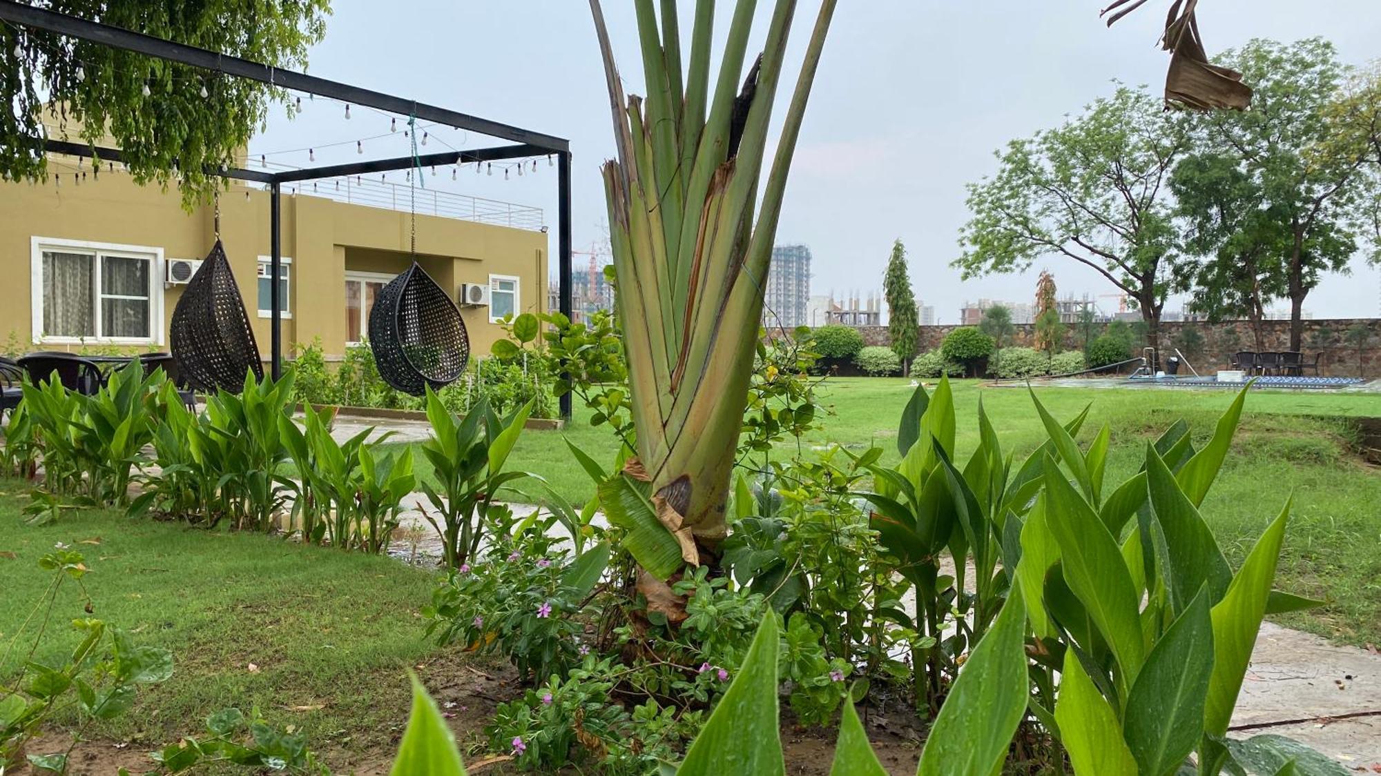 Raas Vilas - Boutique Farm House With Pool Taoru ภายนอก รูปภาพ